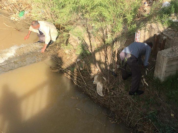 Elleriyle yakalayıp canlı canlı çubuğa taktılar! G2