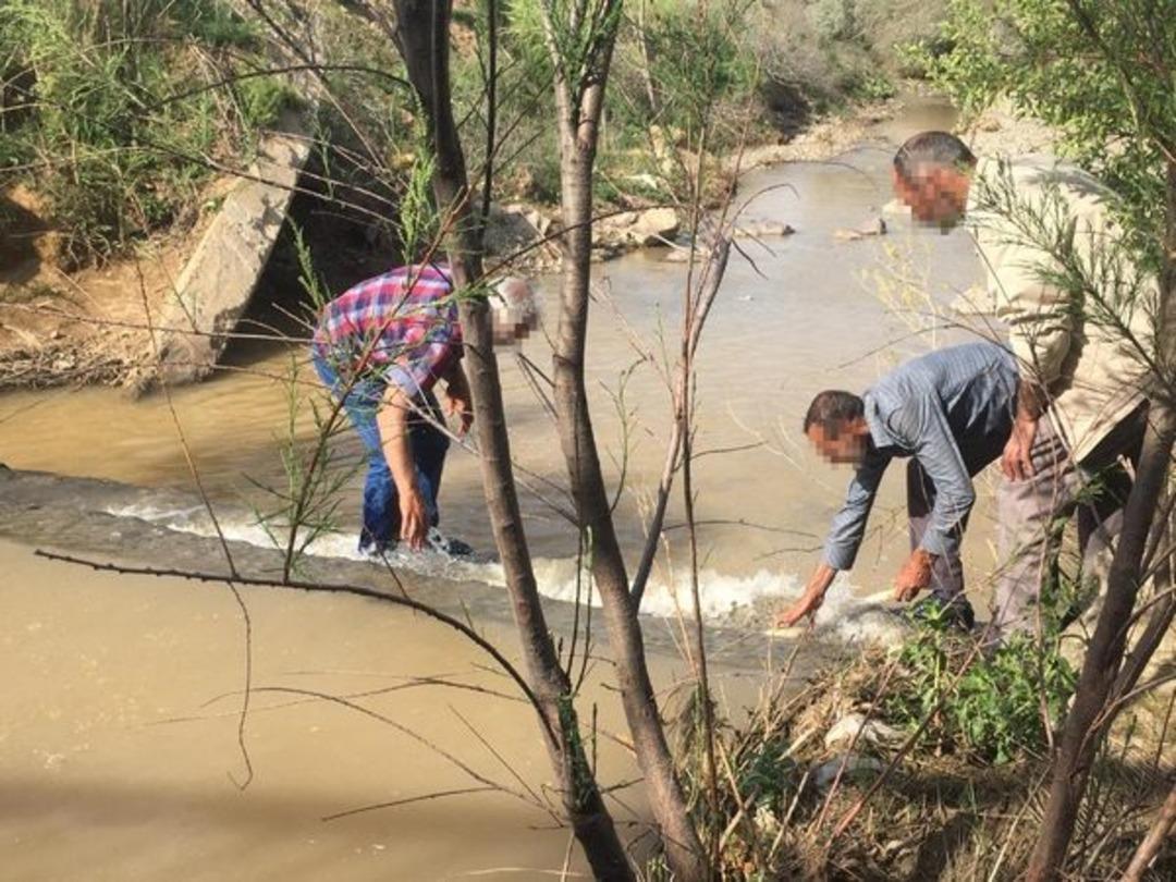 Elleriyle yakalayıp canlı canlı &ccedil;ubuğa taktılar!