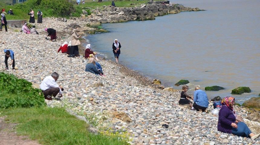 Fatsa&rsquo;da &rsquo;Mayıs Yedisi&rsquo; geleneği yapıldı