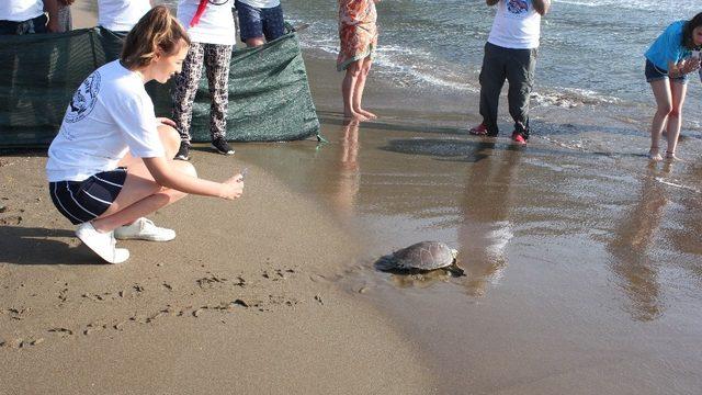 İngiltere güzeli Muğla’ya hayran kaldı