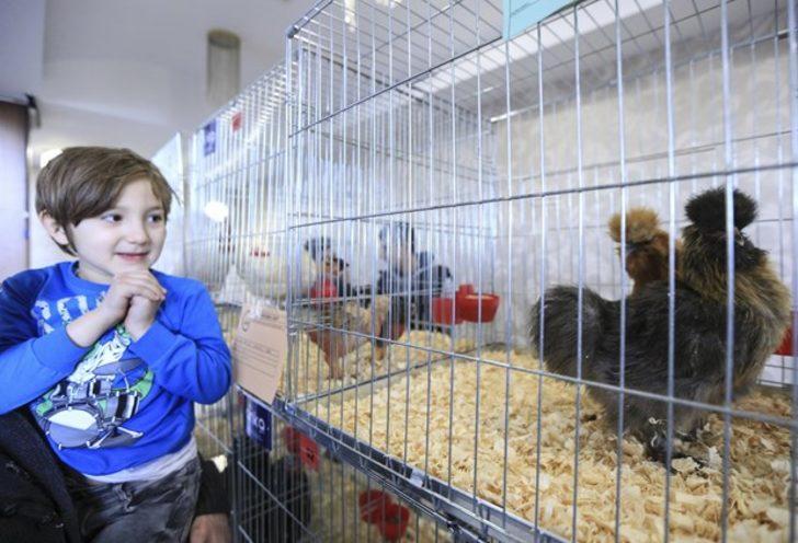 8 bin 500 liraya alıcı buldu G2