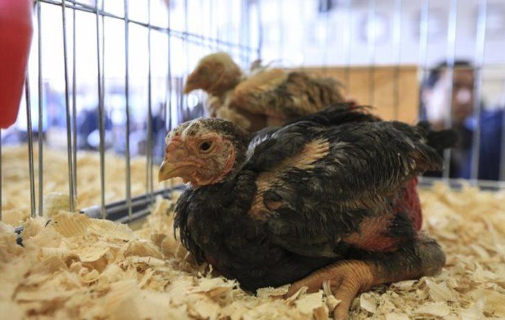 8 bin 500 liraya alıcı buldu G3