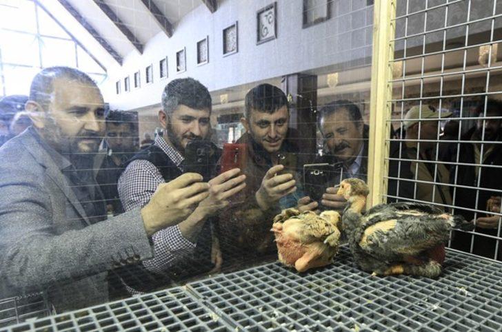 8 bin 500 liraya alıcı buldu G4