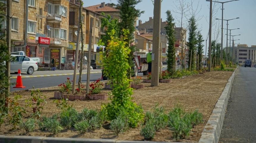 Nevşehir&rsquo;de binlerce &ccedil;i&ccedil;ek ve ağa&ccedil; toprakla buluşturuluyor