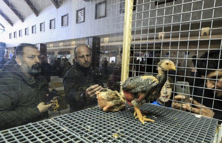 8 bin 500 liraya alıcı buldu G5