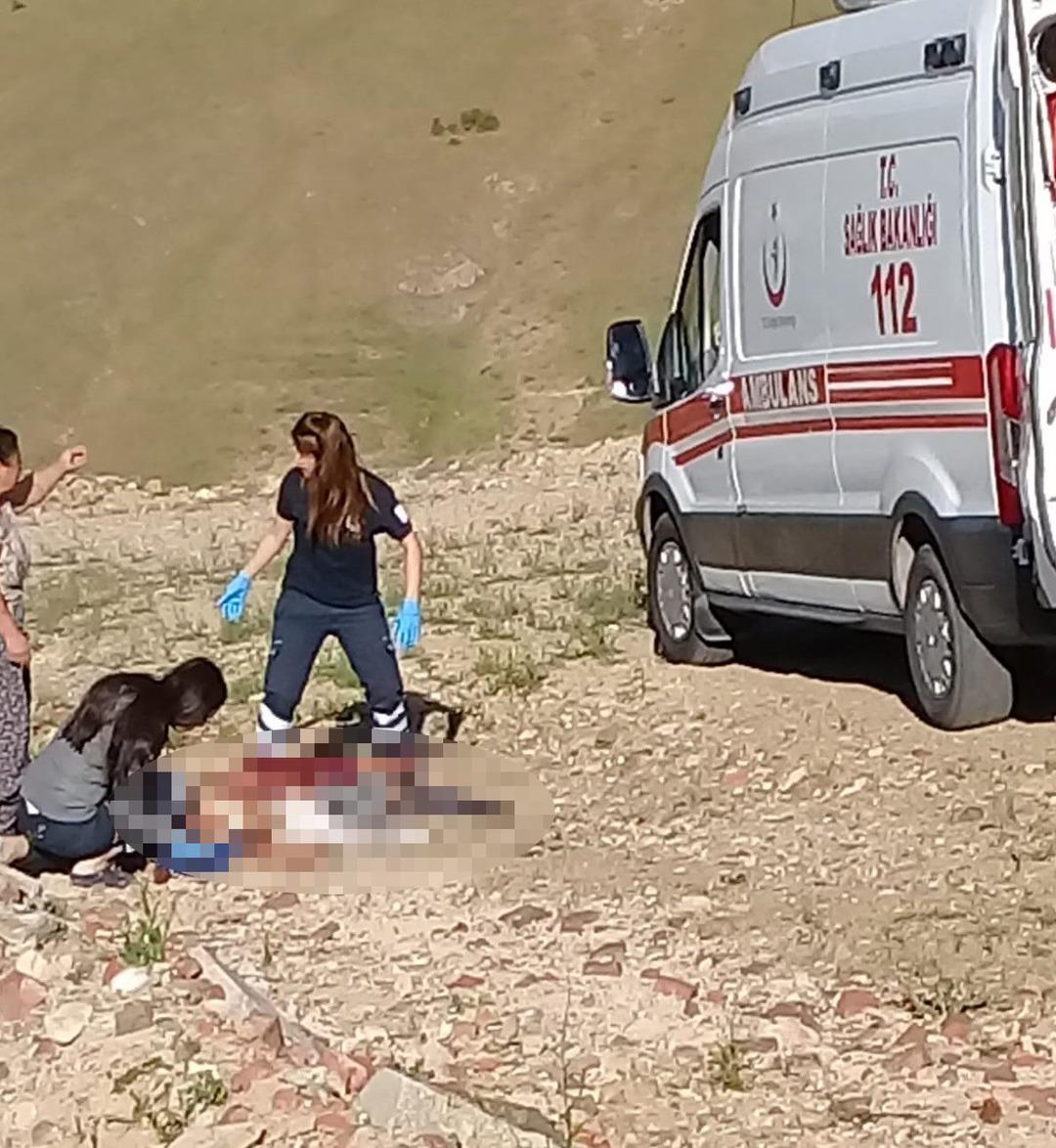 Sokak k&ouml;peklerinin saldırdığı yaşlı kadın &ouml;ld&uuml;