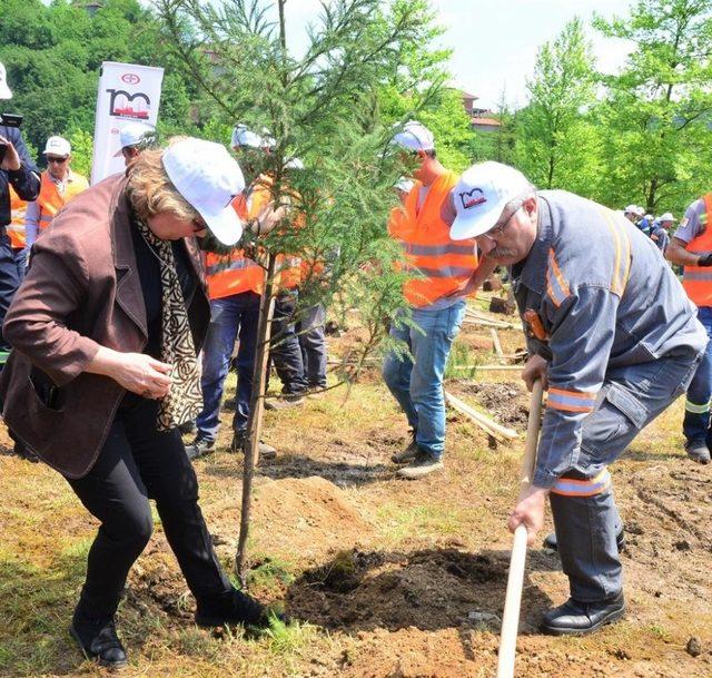 Kdz. Ereğli’de 1919 adet fidan toprakla buluştu