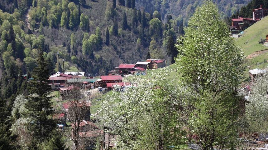Tatilcilerden bayramda Ayder Yaylası'na ilgi