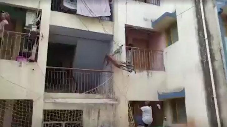 Mahalle ayağa kalktı! Bir anda balkondan atlayıp... G2