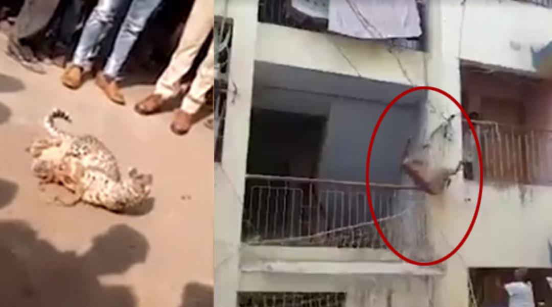 Mahalle ayağa kalktı! Bir anda balkondan atlayıp...