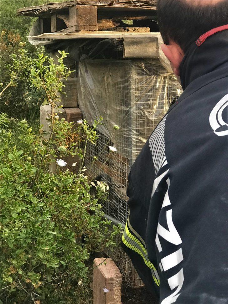  Kuş kafesine girmeye çalışan yılan tellere sıkıştı G2