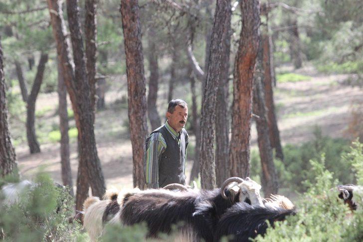 32 yıldır ormanda yaşıyorlar! G2