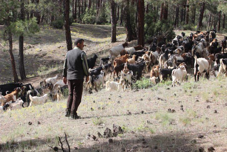 32 yıldır ormanda yaşıyorlar! G5