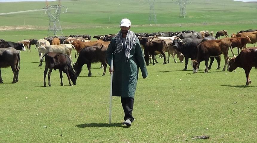 KPSS&rsquo;yi kazanamayınca &ccedil;obanlık yapmaya başladı