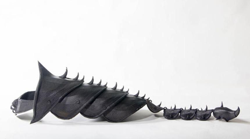 Çılgın adam, kedisi için zırh yaptı! 