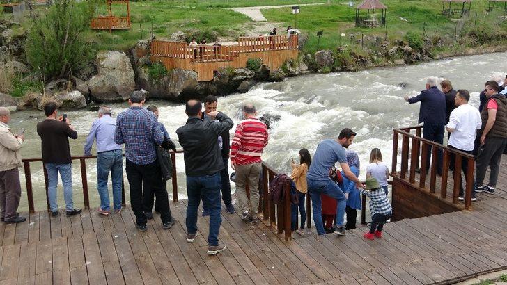 Uçan balıkların muhteşem göçü G1