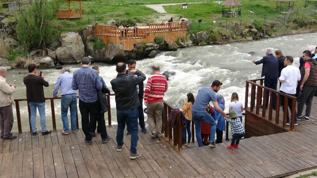 U&ccedil;an balıkların muhteşem g&ouml;&ccedil;&uuml;