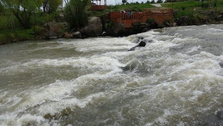 Uçan balıkların muhteşem göçü G3