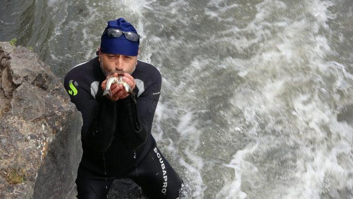 Uçan balıkların muhteşem göçü G4