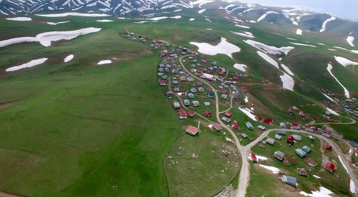 Giresun'daki Hacı Abdullah Duvarı görenleri şaşırtıyor G3