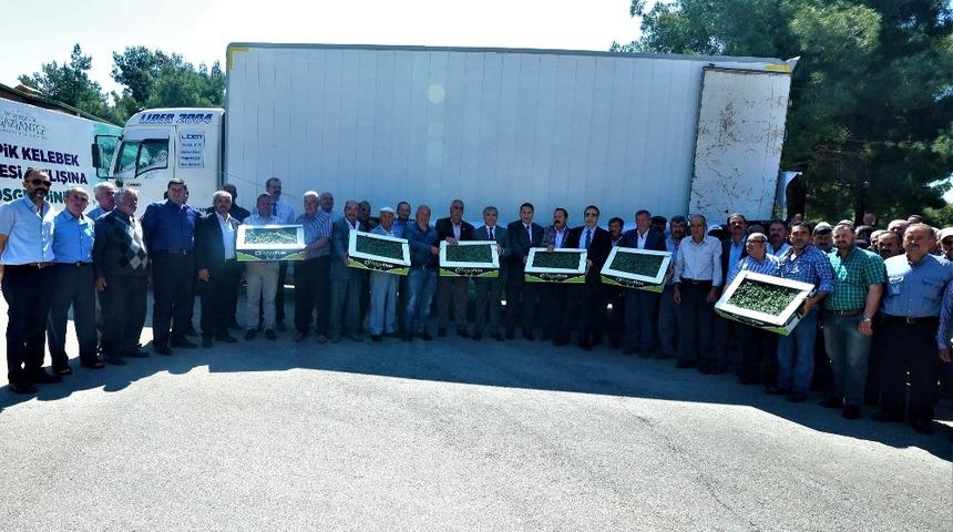 B&uuml;y&uuml;kşehir&rsquo;den &ccedil;ift&ccedil;ilere destek