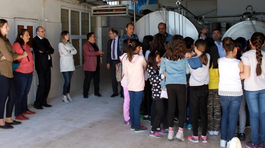 İlk&ouml;ğretim &ouml;ğrencileri S&uuml;t Toplama Soğutma ve S&uuml;t Analiz Merkezini gezdi