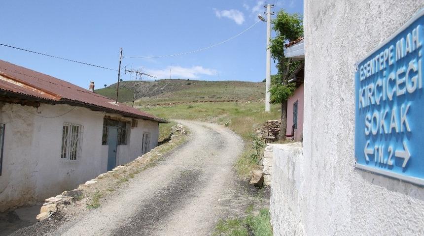 Köpeklerin öldürdüğü, yaşlı kadın ile ilgili başsavcılıktan açıklama