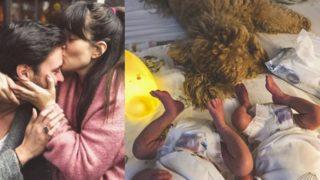 Pelin Akil ve Anıl Altan'ın ikiz bebekleri Alin ve Lina 1 aylık!