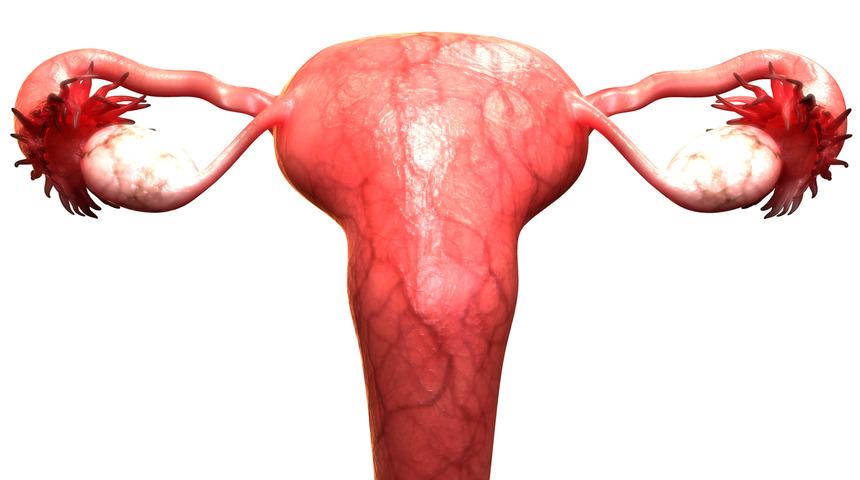 Rahim duvarı kalınlaşması gebeliğe engel midir? 