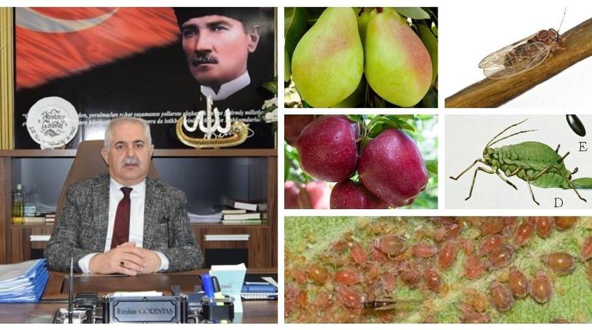 M&uuml;d&uuml;r G&ouml;rentaş, meyve &uuml;reticilerini uyardı