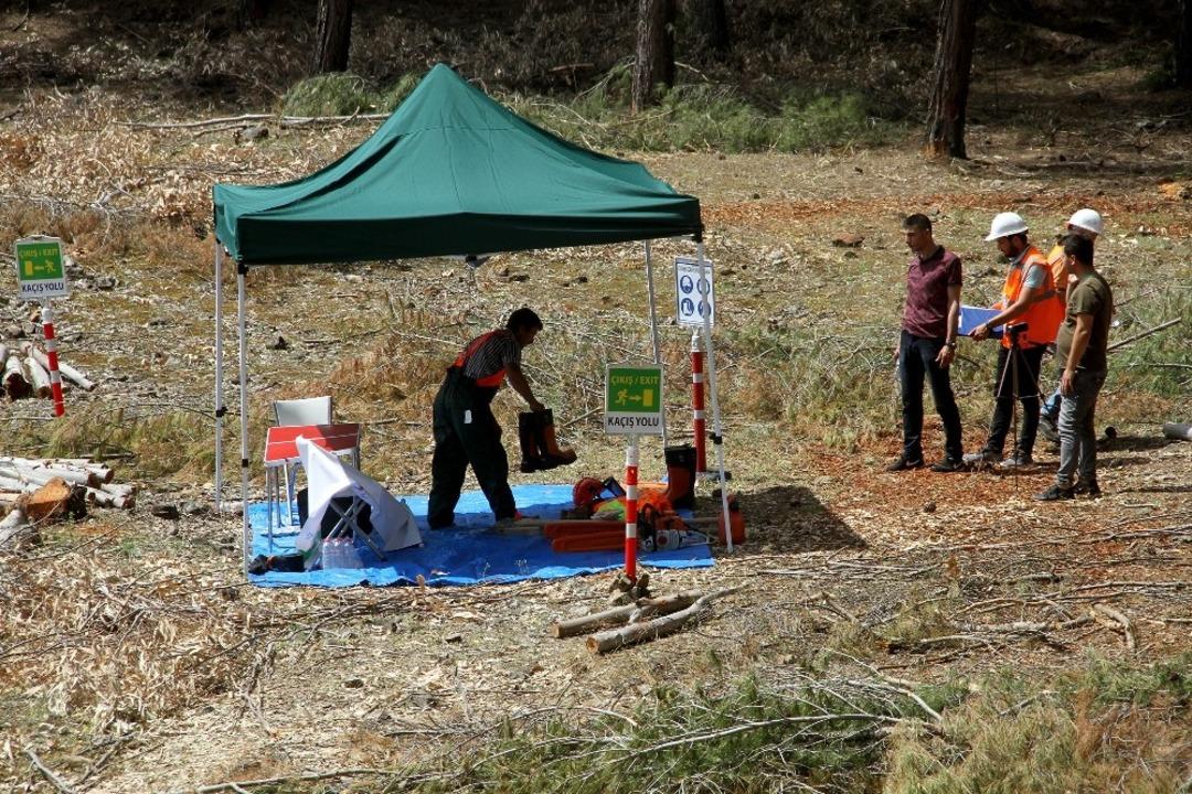 Mesleki Yeterlilik Belgesi olmayan ormanda ağa&ccedil; işleyemeyecek