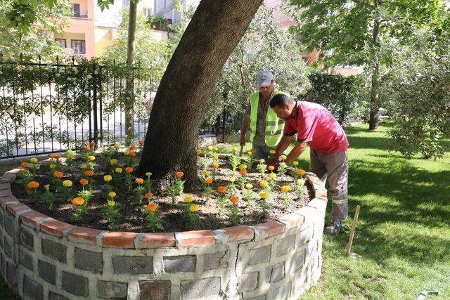 Turgutlu’nun dört bir yanı yeşilleniyor