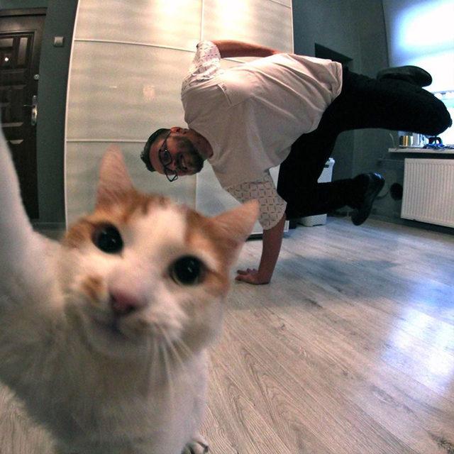 yok-artik-kedilerin-bizden-cok-daha-iyi-selfie-cektiklerinin-21-kaniti-23