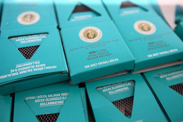 Konya Ovası'nı parazitörler koruyacak!  G5