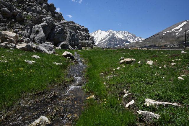 Antalya İl Tarım ve Orman Müdürlüğü’nden mera ıslah çalışmaları