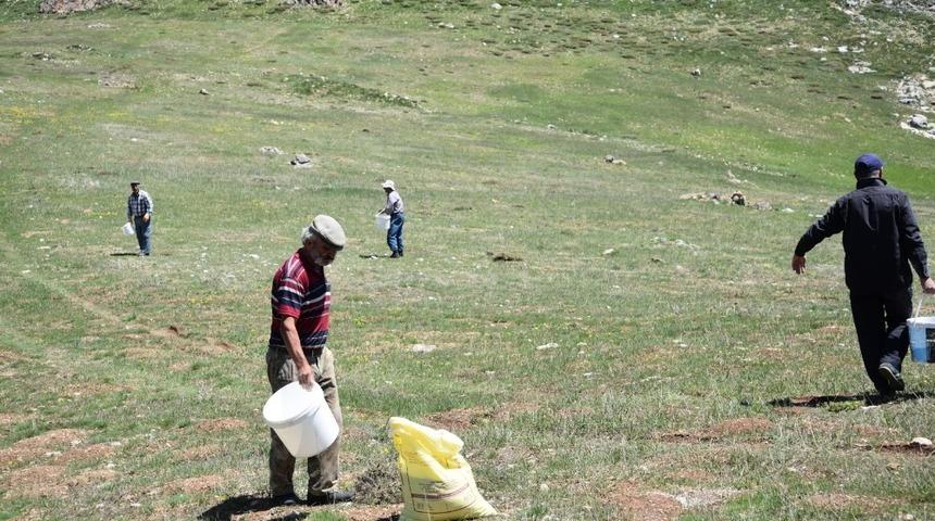 Antalya İl Tarım ve Orman M&uuml;d&uuml;rl&uuml;ğ&uuml;&rsquo;nden mera ıslah &ccedil;alışmaları