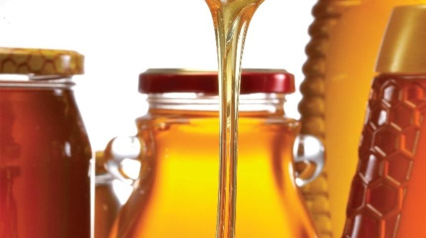 Zeytinyağı teşvik sistemi &ccedil;am balı i&ccedil;in model alınabilir