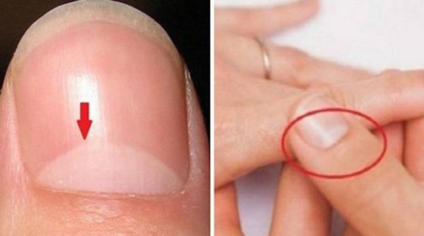 V&uuml;cudunuzla İlgili &Ccedil;ok Şaşırtıcı 10 Ger&ccedil;ek