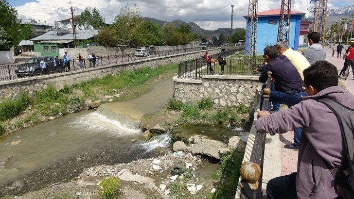 Uçan balıklar bu kez şehir merkezine göç etti G5