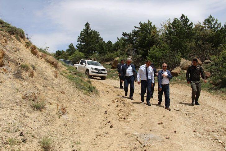 Dumlupınar’da yangın yolu yapım ve onarım çalışmaları G3