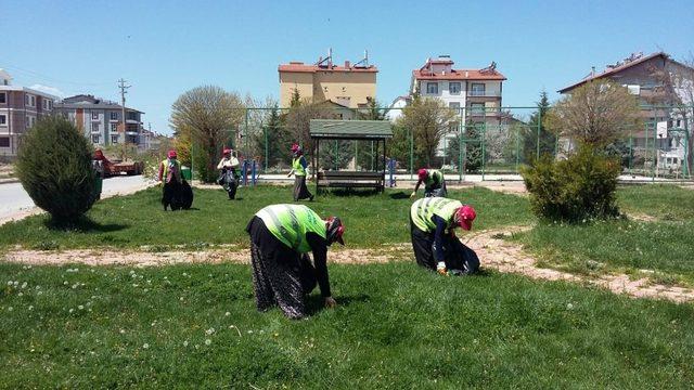 Beyşehir’in mesire alanları yaza hazırlanıyor