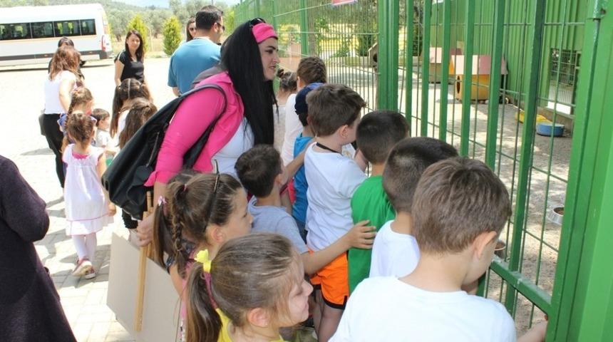 Anaokulu &ouml;ğrencileri sokak hayvanları barınağını ziyaret etti