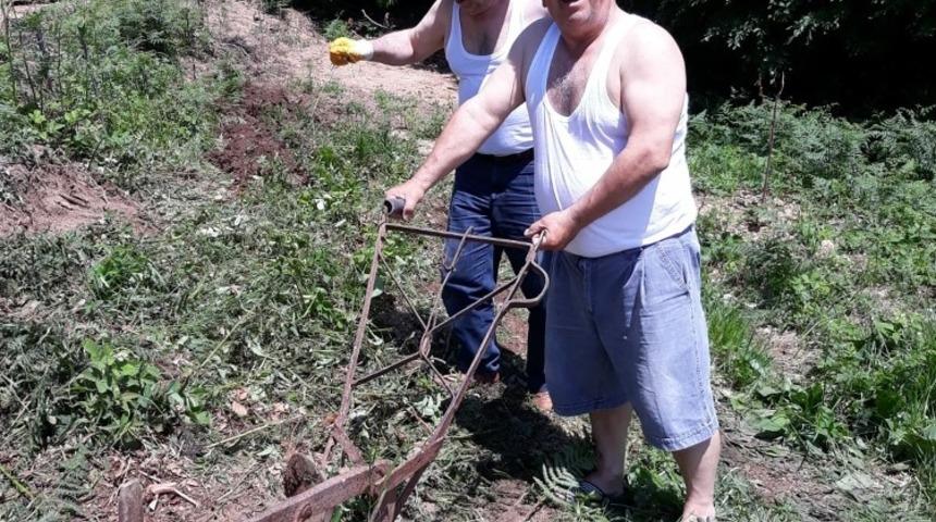 Arabaya taktıkları karasabanla tarla sürdüler