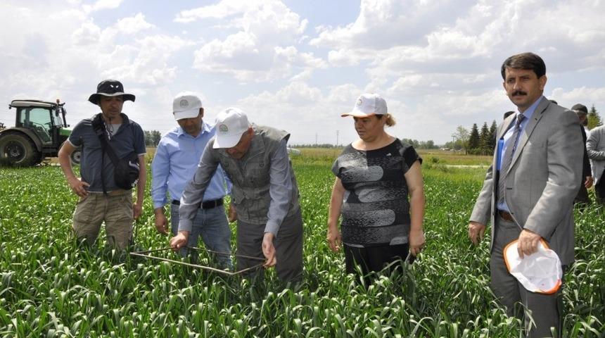 Tarım ve Orman M&uuml;d&uuml;r&uuml; Sever, &lsquo;S&uuml;ne-S&uuml;rvey&rsquo; &ccedil;alışmalarını inceledi