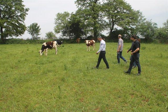 Atalarından kalan miras topraklarda huzur içinde üretim yapıyorlar