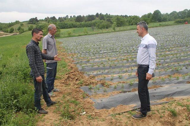 Atalarından kalan miras topraklarda huzur içinde üretim yapıyorlar