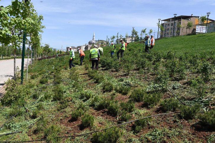 Muş’taki mesire alanı ve parklar yaza hazır G4