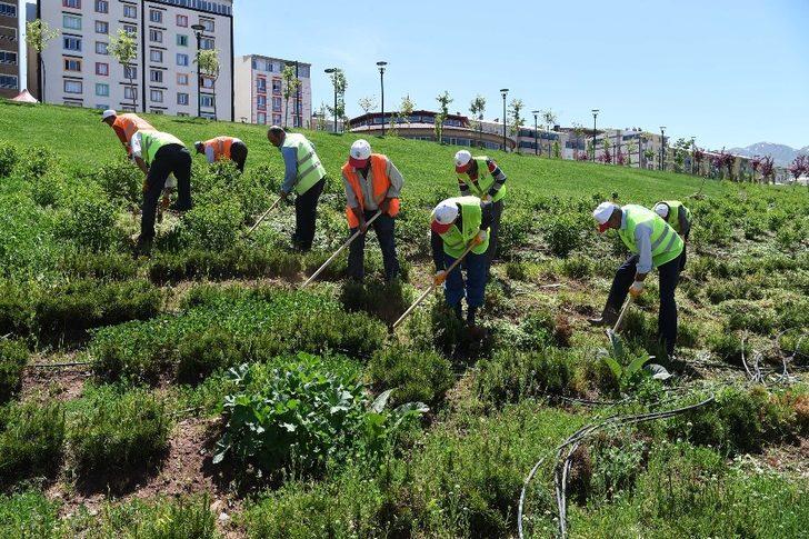 Muş’taki mesire alanı ve parklar yaza hazır G5