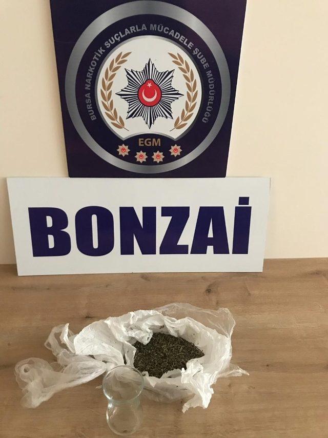 Bursa’da uyuşturucu operasyonu: 17 gözaltı