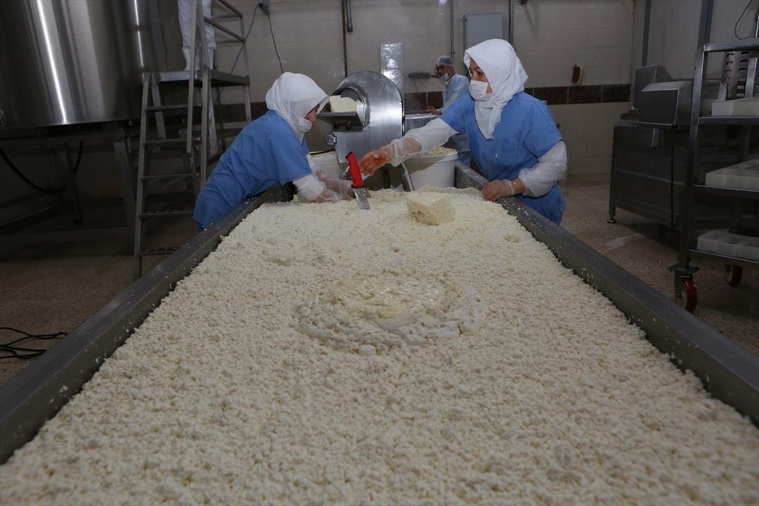 İmalathaneden modern tesise